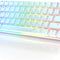 GK61 Mechanical Gaming Keyboard - 61 Keys Multi Color RGB Illuminated LED Backlit Wired Programmable for Pc/Mac Gamer (Gateron Optical Brown, White)